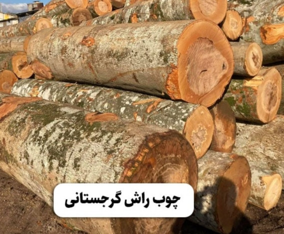 چوب راش گرجستانی چیست؟ معرفی کامل مزایا، معایب و کاربردها