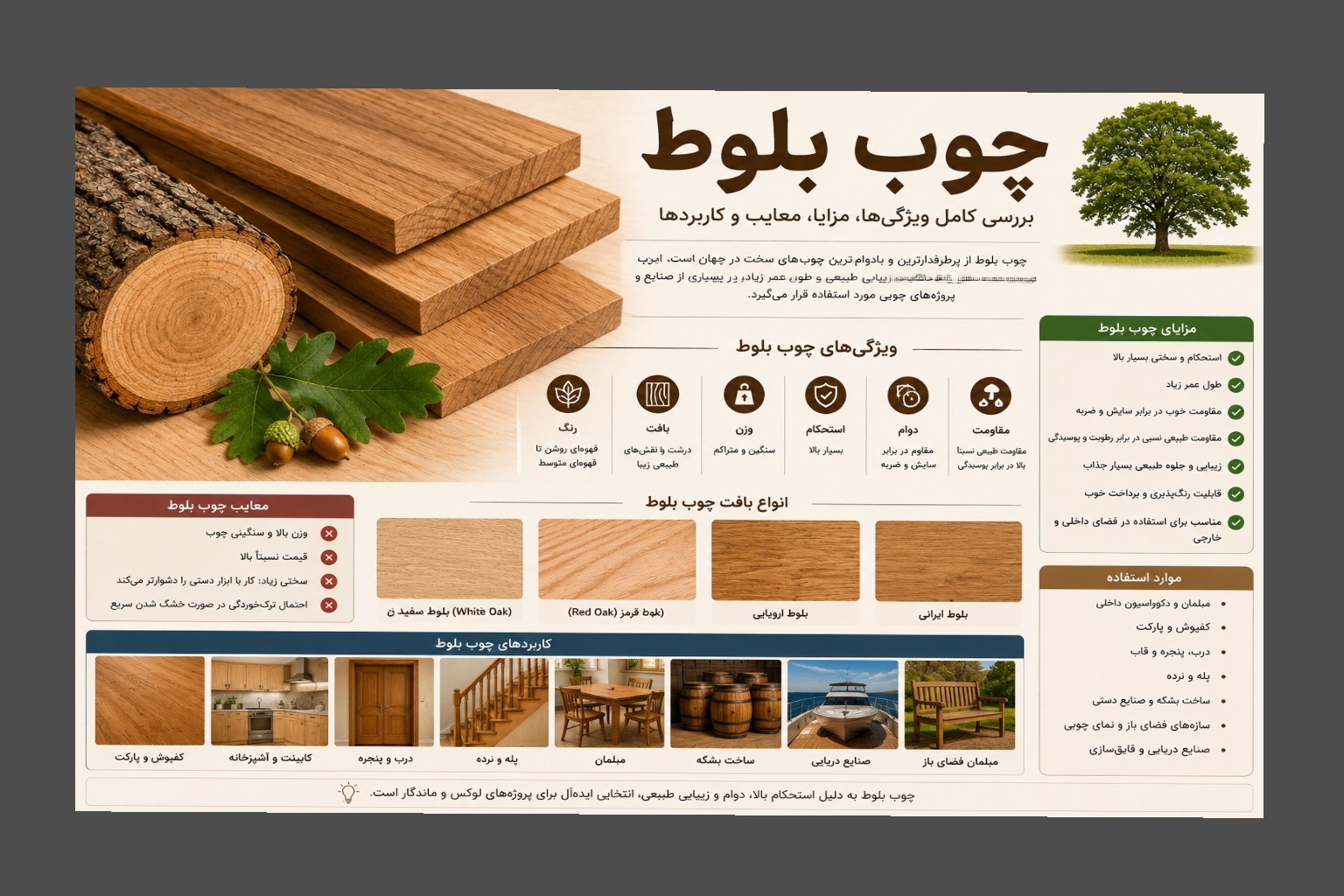 چوب بلوط چیست؟ راهنمای جامع ویژگی‌ها، انواع، کاربردها، مزایا و معایب