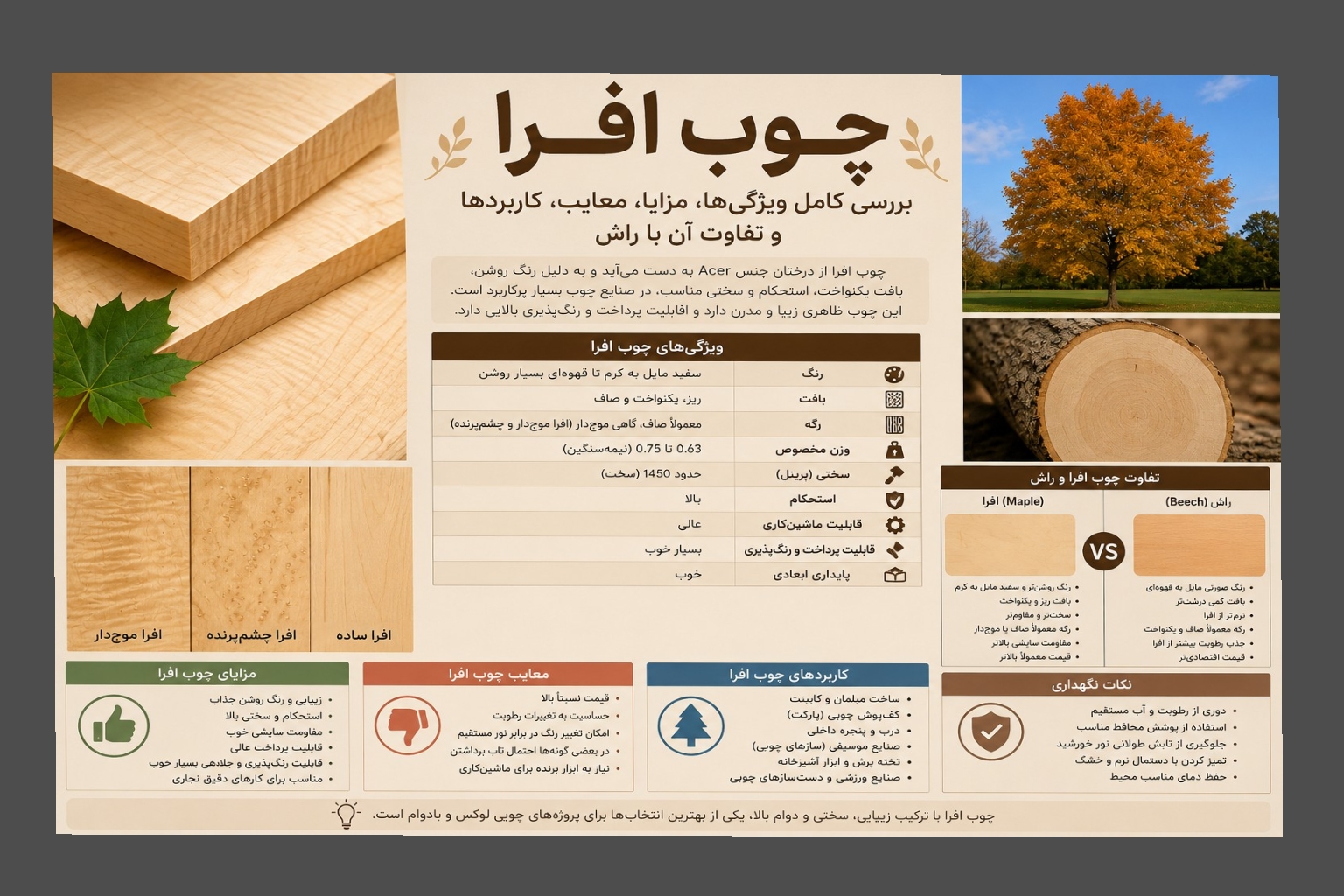 چوب افرا چیست؟ بررسی کامل ویژگی‌ها، مزایا، معایب، کاربردها و تفاوت آن با راش